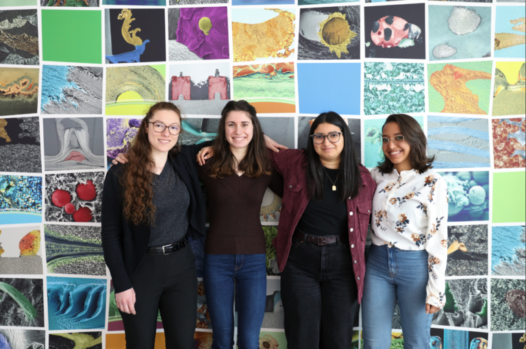 ESIREM Exchange Students Join Polymer Technology Institute for Research Stay