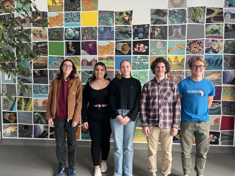 ESIREM Exchange Students at LKT