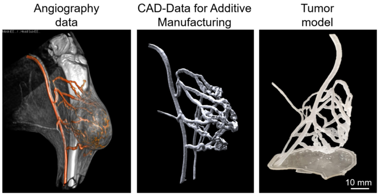 Research Training Group SyMoCADS for the additive manufacturing of tumor models