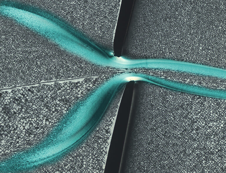 Announcement: Microscopy seminar 2024